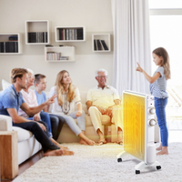 Radiateur électrique portable en mica, panneau chauffant pour la maison et le bureau