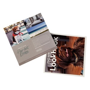 Chat Chien Animalerie Marketing LookBook Magazine Livret <span class=keywords><strong>Catalogue</strong></span> Brochure Impression Personnalisée Approvisionnement Direct D'usine - Product Image 5