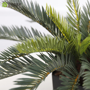 ต้นไซคาดจำลองขนาดใหญ่ 11 ใบ ความสูง 50 ซม. สำหรับตกแต่งภายในอาคาร วัสดุพลาสติก - Product Image 2