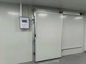 Công suất lớn vô trùng nhiệt độ không đổi Tủ đông phòng cho thịt tươi sống - Product Image 2