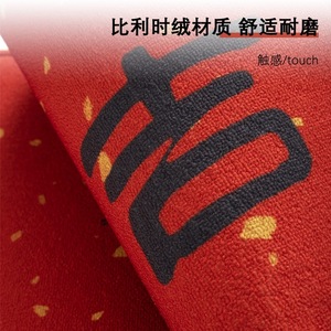 Alfombra de Entrada Moderna Minimalista, Cuadrada, Resistente a las Manchas, Lavable, de Alta Calidad - Product Image 5