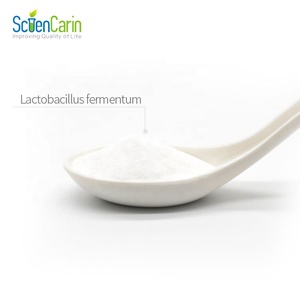Hochwertiges gefrier getrocknetes Probiotika-Pulver Lacto bacillus fermentum - Product Image 2