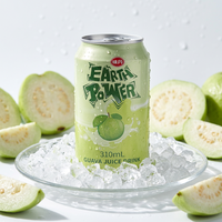 VEDAN Guava-sapconcentraat |   Gemaakt in Taiwan |   Fabrieksgroothandel levering