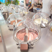 Miles 4 Flavors Commerciële Automatische IJsmachine NSF Goedgekeurd Staande RVS IJsapparaat met Luchtkoeling 2 Jaar Garantie