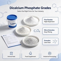 Phosphate dicalcique DCP, additif alimentaire, phosphate de calcium et d'hydrogène pour la nutrition animale, alimentation des volailles et du bétail, CAS n° 7757-93-9