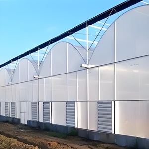 Hot Selling Large Multi-Span Landwirtschaft liches Gewächshaus Aluminium PE Kunststoff Tertilien Gewächshaus für Tomaten Obst Gemüse Pflanzen - Product Image 4
