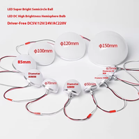 Ampoule demi-circulaire 24V, 12V, 5V, 240 LED source de lumière ponctuelle basse tension DC décoratif publicité couleur lampe