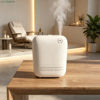 Diffuseur d'arômes AE109 à longue autonomie, 150 ml, mural, nébuliseur à air froid, diffuseur de parfum pour couloir d'hôtel, vente en gros pour usines