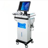 Le plus récent 14 en 1 Hydro Dermabrasion Machine de soins de la peau lifting du visage nettoyage du visage Aqua Peeling Dermabrasion pour Spa Salon de beauté