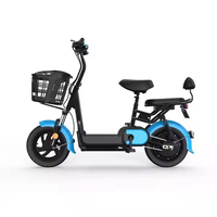 Vélo électrique 24 pouces avec panier 350W 48V 13Ah moteur puissant pour les trajets en ville et la saleté