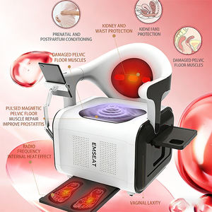 Système de rééducation post-partum professionnel, machine de stimulation électrique du plancher pelvien et des membres, thérapie physique - Product Image 3