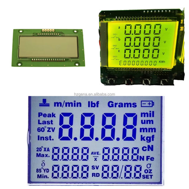 Customized TN6-Digit 7-Segment LCD Display Industrial Display Instrument with Black Background and White Text Segment Displays