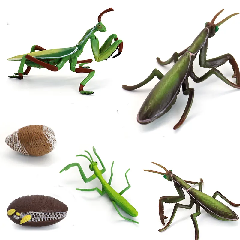 PVC solid Realistic insect world animal toys Children's gift Mantis growth toy Mantis growth toy Marine animal Insect toy