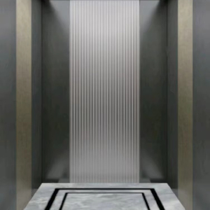 Ascenseurs résidentiels sans gaine de 2 à 5 étages, petits ascenseurs domestiques pour 4/5/6 personnes, ascenseur de maison en Chine - Product Image 1