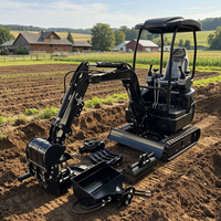 Mini-excavatrice à chenilles diesel de 1,6 tonne avec moteur Euro 5, livraison gratuite, mini-excavatrice agricole de petite taille à vendre