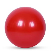 Ballon de yoga et d'exercice en PVC anti-éclatement durable, 55-75 cm, épaissi, pour Pilates, gym, équilibre, avec pompe, pour fitness et massage