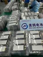 Batterie de drone à semi-conducteurs 31AH 3.5V 4 cellules 1200 cycles 5C, pack lithium-ion longue autonomie