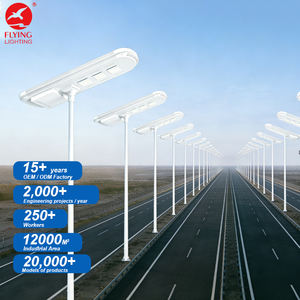 Farola <span class=keywords><strong>Solar</strong></span> Integrada de Grado de Ingeniería, Todo en Uno, Impermeable, de Aluminio, con LED, para Carreteras - Product Image 1