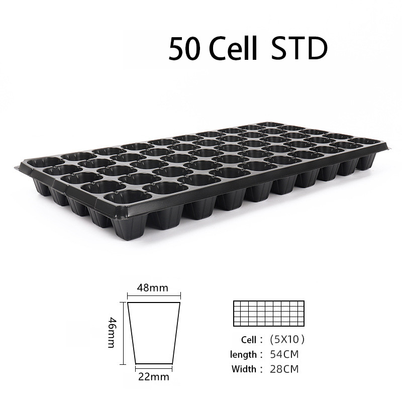 Black 50 cells