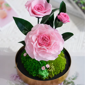 Roses éternelles sous cloche en verre, fleurs roses véritables avec base dorée et mousse, décoration intérieure durable sans entretien - Product Image 1