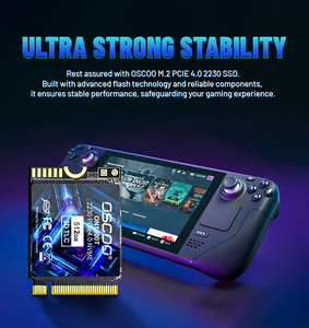 OSCOO 1TB M.<span class=keywords><strong>2</strong></span> NVME 2230 PCIE 1.4 SSD Disk untuk Steam Deck 256g 512gb Ssd Laptop Gaming Ssd Disco Duro 1tb - Product Image 2