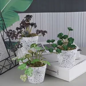 Pequeñas plantas artificiales de plástico de aloe en macetas de plástico blanco