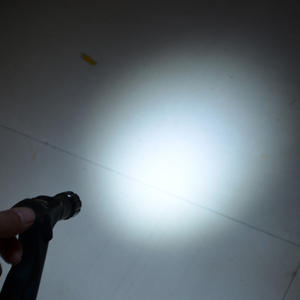 Bâton de randonnée extérieur avec 9 lumières LED, longueur réglable 53-112 cm, embout en caoutchouc pour la randonnée et les personnes âgées - Product Image 1