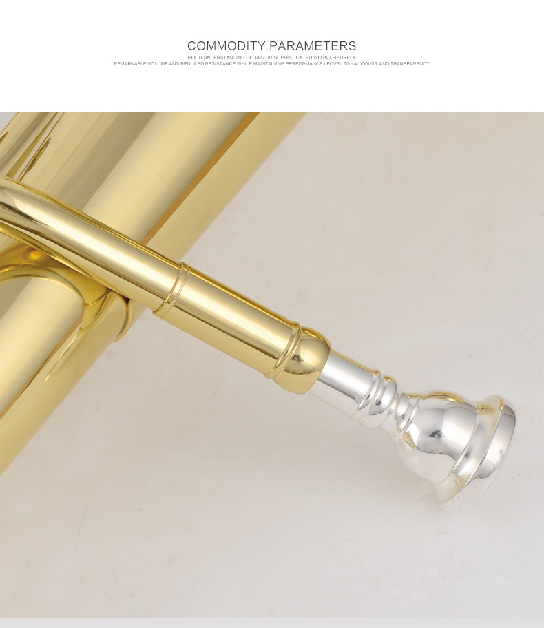 Professional factory price Eb key stainless steel piston alto horn