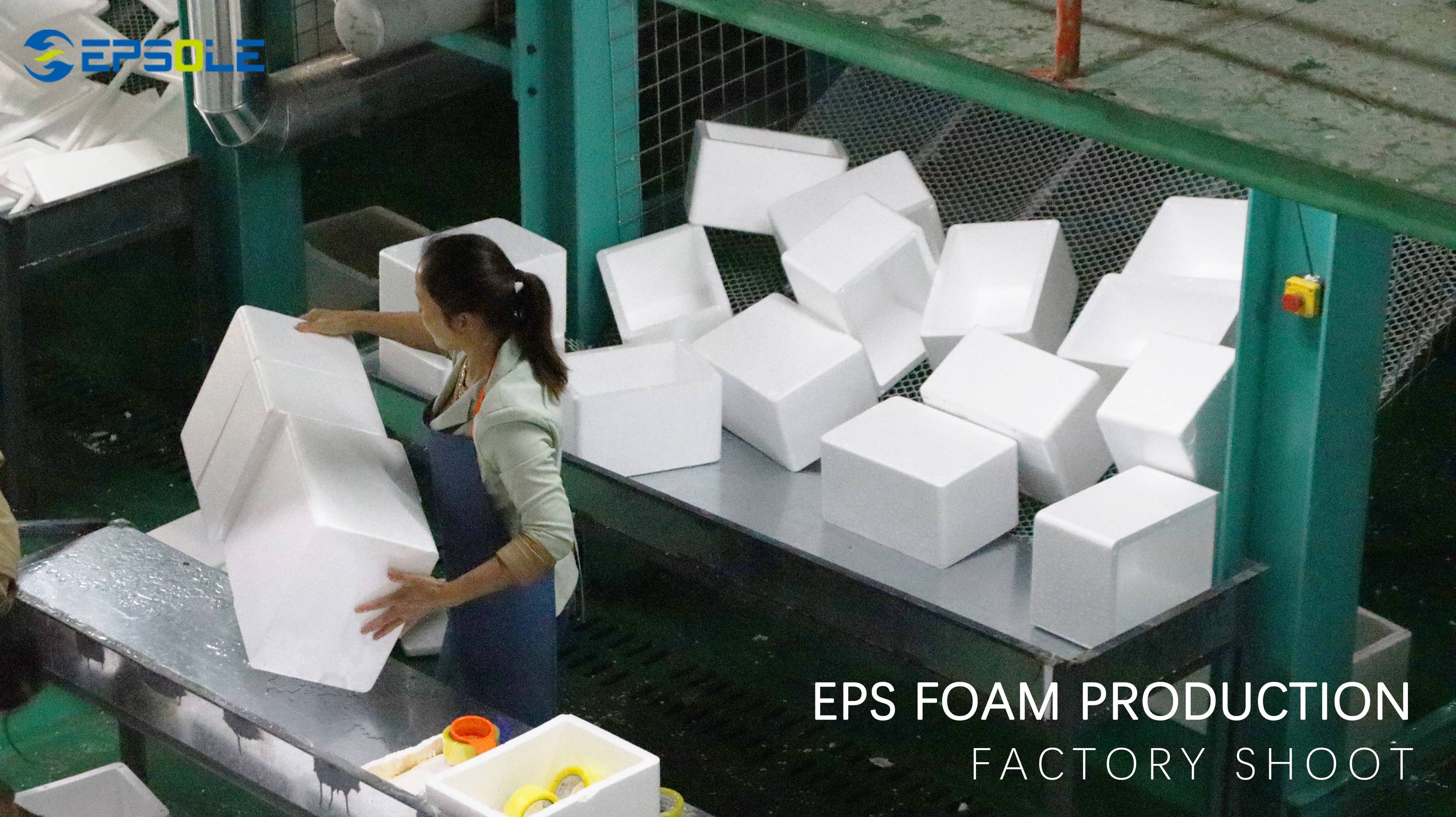EPS Fish Box Machine - Precision Molding for Seafood