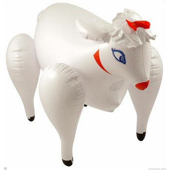 High Quality Children s Boxing Training