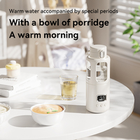 Großhandel Tragbarer Reise-Flaschenwärmer, Schnellheizender Baby-Milchwärmer mit Nachtlicht & Wasserdichtem Design für 0-12 Monate