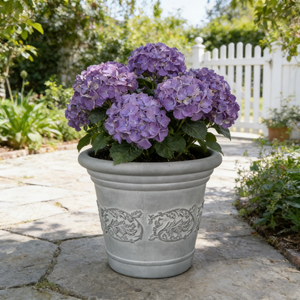 <span class=keywords><strong>Pot</strong></span> de plante <span class=keywords><strong>en</strong></span> plastique imitant la terre cuite pour les herbes, les <span class=keywords><strong>fleurs</strong></span> et les légumes - Product Image 1