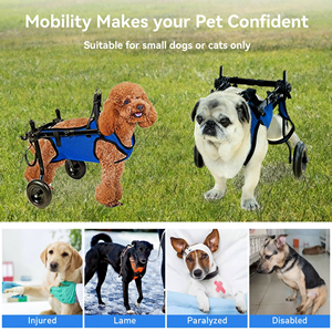<span class=keywords><strong>Chariot</strong></span> pliable à 2 roues en ABS respirant <span class=keywords><strong>pour</strong></span> chiens et chats handicapés - Aide à la marche et à la rééducation <span class=keywords><strong>pour</strong></span> animaux de compagnie - Fournitures transfrontalières <span class=keywords><strong>pour</strong></span> animaux de compagnie - Product Image 4