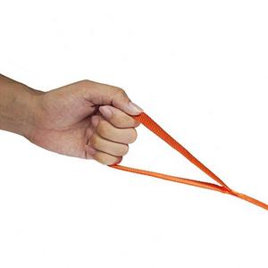 Cane Al Guinzaglio 3/4 "Wide Cotone Web 10 M di Lunghezza per la Formazione Con Girevole di Chiusura A Scatto - Product Image 3