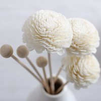 Diffuseur de roseaux en rotin coloré pour la maison, bâtons en fibres d'aromathérapie pour diffuseur d'huiles essentielles