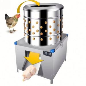 Desplumadora Automática de Pollos 200, Máquina Desplumadora de Aves/Desplumadora de Plumas de Pollo - Product Image 1