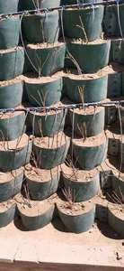 Hdpe <span class=keywords><strong>Geocell</strong></span> Tải Hỗ Trợ Mềm Subgrade Mặt Đất Sỏi Ổn Định - Product Image 3