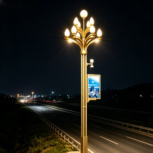 Poteaux d'éclairage intelligents pour autoroutes extérieures, lampadaires galvanisés à chaud avec caméra CCTV pour villes connectées, poteaux de ville intelligents - Product Image 4