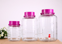 Grande bouteille en verre bocaux à cornichons 2L 3L 5L 10L 20L bocaux en verre à vin avec couvercles en plastique