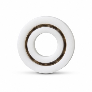 ลูกปืนพลาสติก POM ลูกแก้ว กรงไนลอน 6301 12x37x12 มม. สำหรับการแปรรูปอาหาร - Product Image 2