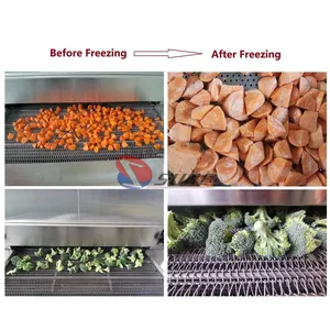 Freezers Tunnel Freezer Hot Selling Tunnel Cooling Machines Fish Shrimp Freezers