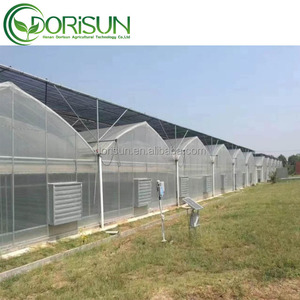 Venlo – pilier solaire en verre, Tunnel, couverture en plastique, lit de rocaille d'aquaculture, serre <span class=keywords><strong>avec</strong></span> <span class=keywords><strong>étang</strong></span> à poissons - Product Image 5
