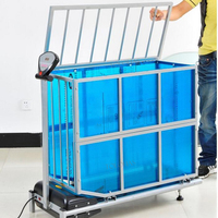 LHWJ100 Petit équipement d'exercice pour animaux de compagnie, tapis roulant électrique pour chat, machine de course pour chat, prix
