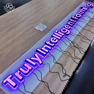 Retroiluminado comercial de parede de construção, arte externa, logotipo da letra frontal da logotipo da loja 3d, iluminado personalizado, sinal de led