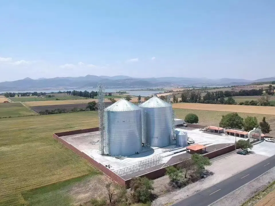 Chicken feeding farm corn flat bottom grain silo