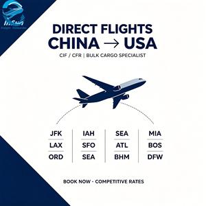 Transport aérien CIF, expédition internationale de marchandises en vrac de Chine vers les aéroports de LAX, ORD, JFK, DFW, ANC, IAH, ATL, SFO, <span class=keywords><strong>CVG</strong></span>, MIA aux États-Unis - Product Image 3