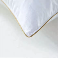 Oreiller de lit en gros pour hôtel Oreiller de cou en velours et plumes rembourré sur mesure pour dormir