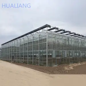 China Multi-Span Invernaderos agrícolas Vidrio Hidroponía Tomate Invernadero Grande