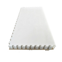 Planche à roulettes sur glace artificielle à faible friction, surface de glace artificielle portable pour cours extérieures