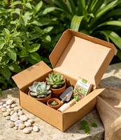 Boîte d'expédition en carton ondulé kraft brun écologique et recyclable en forme d'avion, avec pelliculage mat, gaufrage et doublure en mousse pour vêtements